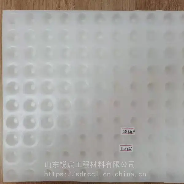 塑料排水板厂家 凹凸型排水板 园林绿化塑料排水板批发