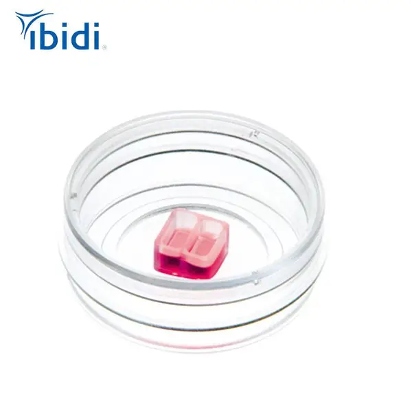 ����ʵ�� �˿�����2�ײ�� 80209 2D��Ϯ�͹������¹�ibidi