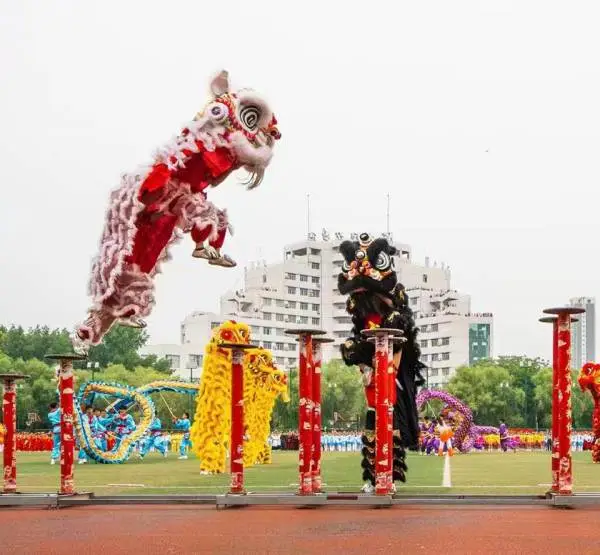 郑州梅花桩舞狮丨大型梅花桩高难度演绎,年轻强队超震撼