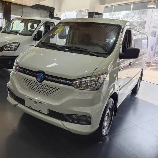 东风新能源货车 日用百货 快递包裹 果蔬生鲜 一应俱全