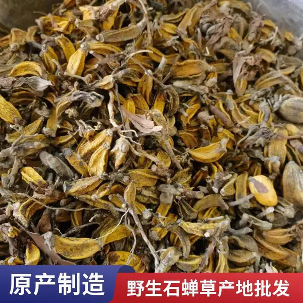 中药材石蝉草 野生胡椒草产地大货药食同源散装无杂质上千种中药材