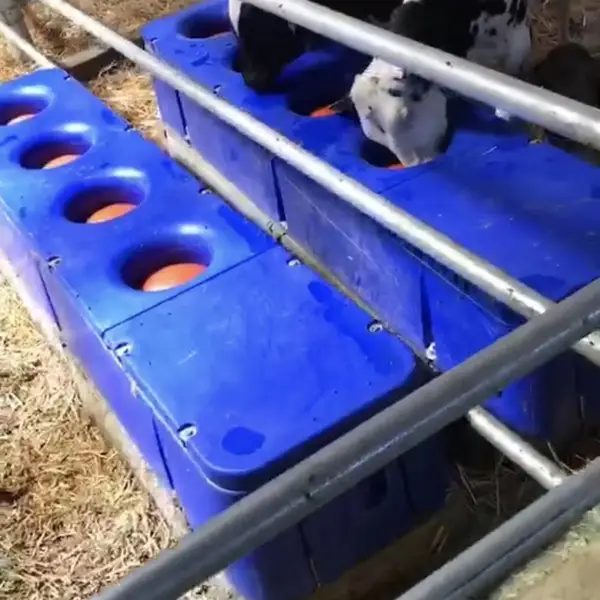 �Ƹ�����Ӧ ����ˮ�룬ţ��������ˮ�룬4��������ˮ��