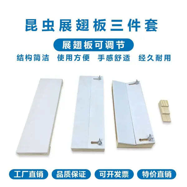 平板展翅版双翅目类昆虫标本制作智科教学用具