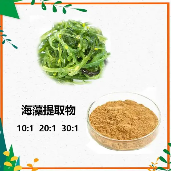 海藻糖 喷雾干燥工艺 沃特莱斯生物 海藻粉 水溶100目