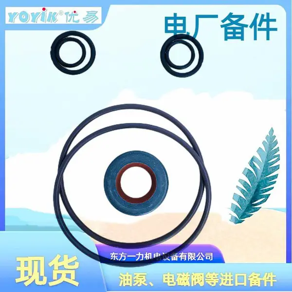 真空泵KZ/100WS 发电机密封油系统 东方一力 检修备品