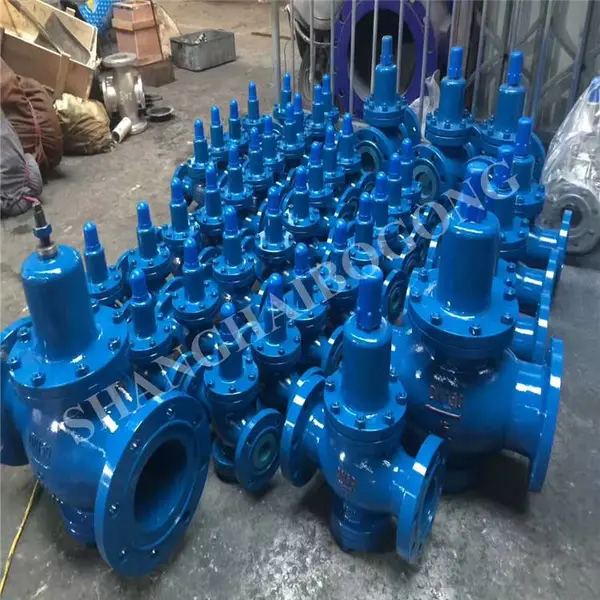 Y42SD-10C ����ˮ�ü�ѹ�� Y42SD ���ɱ�Ĥ����ʽ��ѹ��