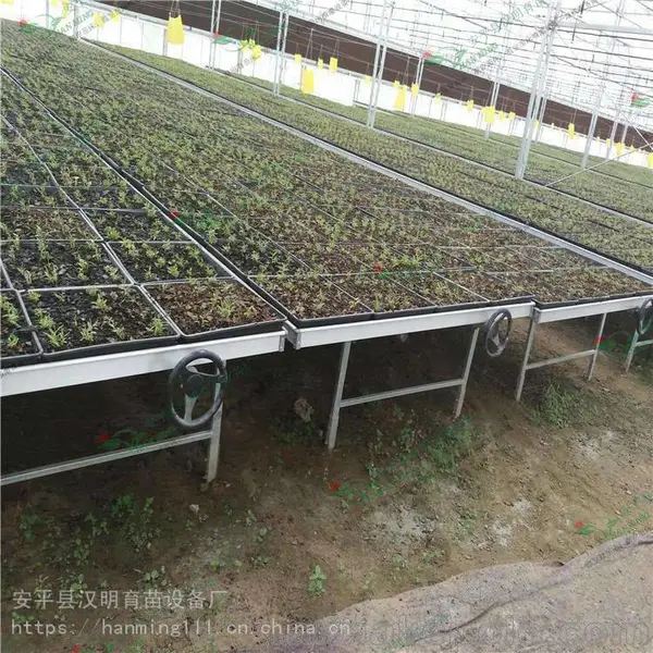 温室潮汐式苗床-大棚蔬菜移动苗床-水肥90%利用率