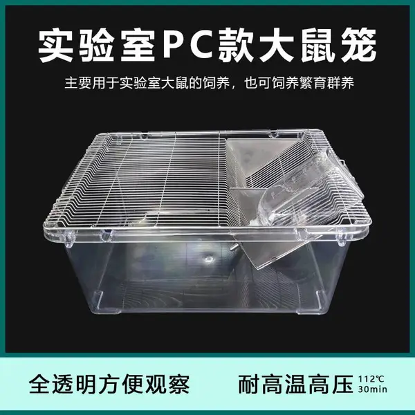 SS4������pc����ȫ͸��ʵ������������