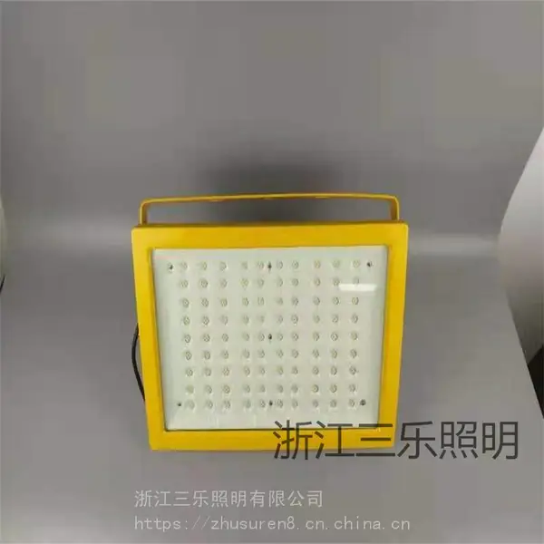 三乐照明供LED防爆灯具100W 200W 300W 防爆投光灯泛光灯