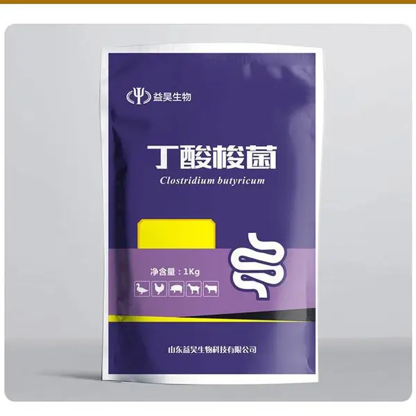 益昊丁酸梭菌水产养殖修复肠道黏膜改善底部塘泥的生态环境
