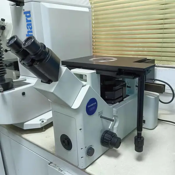 ����OLYMPUS������΢��GX51 ���ְ��ְ�˹