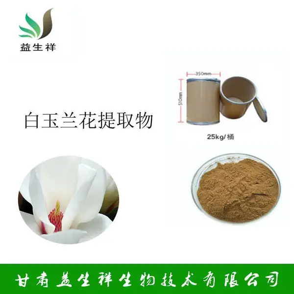白玉兰花提取物 速溶粉 浓缩干燥 10:1 20:1高比例萃取粉末