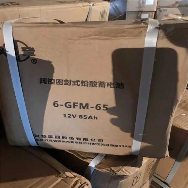 双登蓄电池销售中心12v65ah双登电瓶 机房EPS供电电池