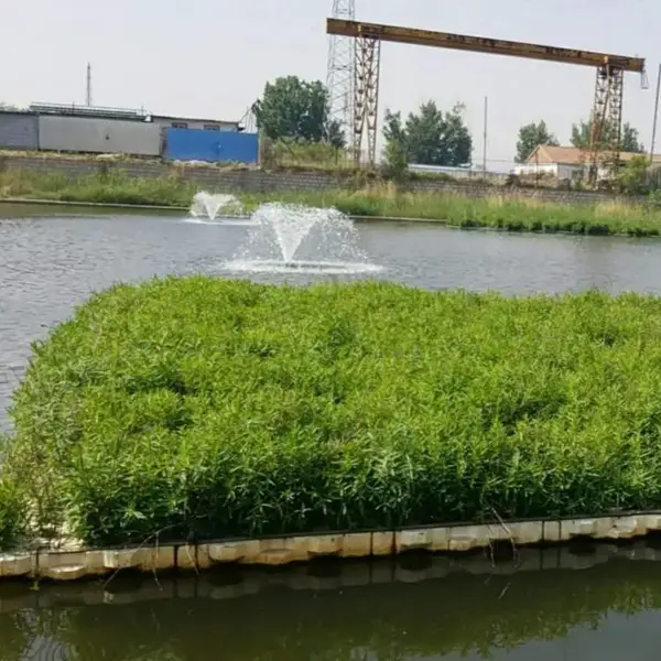 水上种菜自制浮床 水生植物小苗批发种植绿化项目造景工程苗