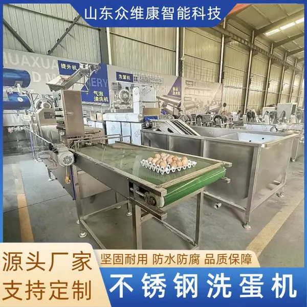 上蛋收蛋洗蛋风干整套流水线 三排鸡蛋清洗机 饼干制作洗蛋机