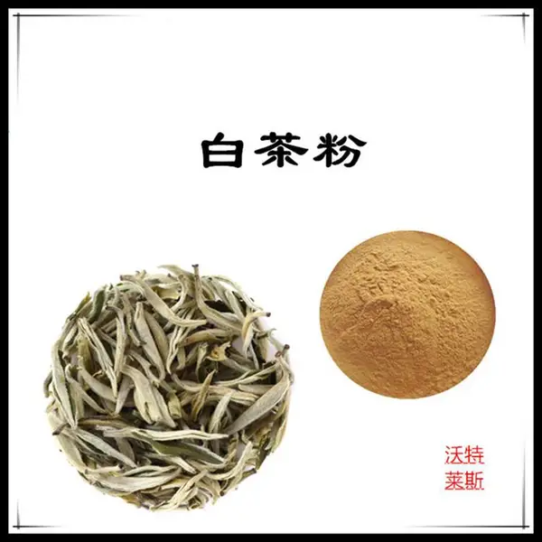 白茶速溶粉 可水溶 提取液 沃特莱斯生物 棕黄色粉末