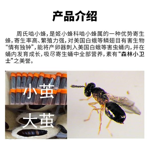 �Գ��γ棬������С��***�����׶���۳�Ŀ�к�����