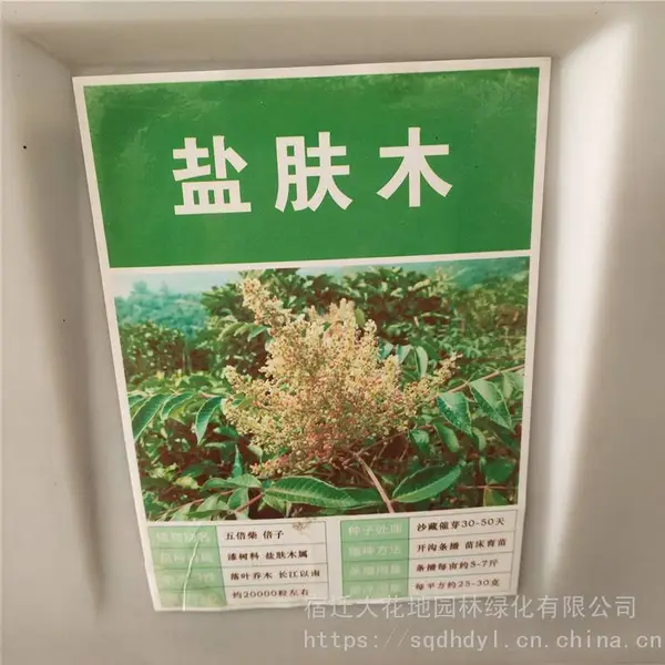 �����²�ժ��ľ���� �屶������ ��ѿ*** �۸���� ***