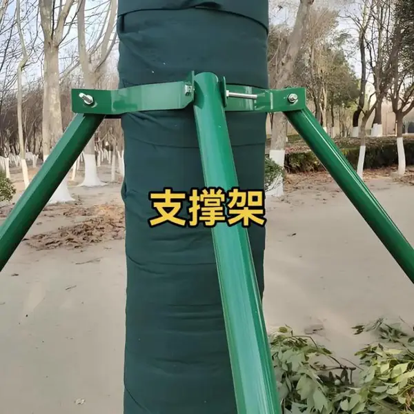 基地出售树木支撑架造林防护用材简易稳固苗木扶持固定支撑木料