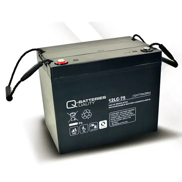 Q-BATTERIES蓄电池12LCP-60 12V63AH/20HR 阀控密封式铅酸蓄电池