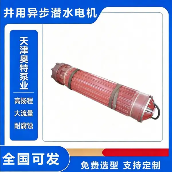 矿用潜水电机 大功率高压三相异步电动机 天津厂家现货供应