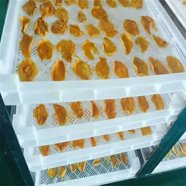 广西芒果烘干机-空气能芒果烘房