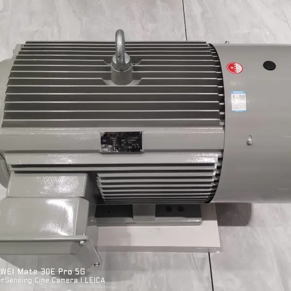 供应德东 机械设备可用电机 变频系列 YVF2-315L2-2 200KW B5立式