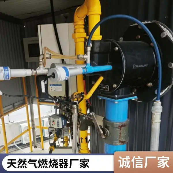 岱鼎转炉煤气油气两用SCR脱销反射炉烧嘴性价比高生产厂家加热