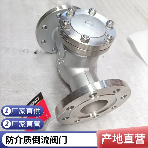 H44W-16P DN125 耐磨耐用 尺寸支持定制 法兰连接旋启式止回阀
