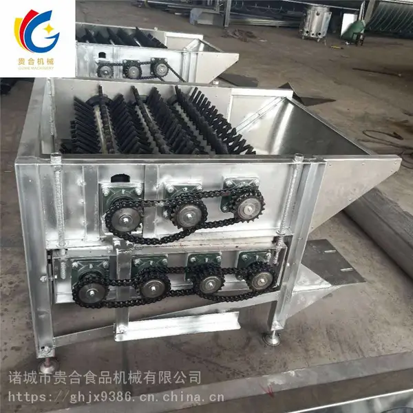 河南家禽脱毛机 鸡鸭专用打毛机 鸽子脱毛机厂家