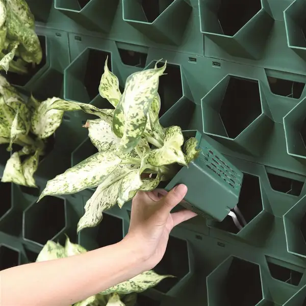 长春全新植物墙容器电话 园林工程