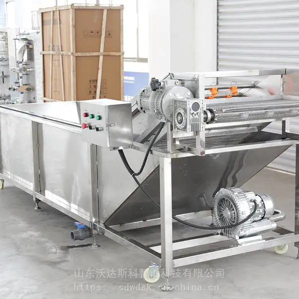 新鲜蔬菜清洗加工设备 洋葱连续气泡清洗机 朝天椒自动高压喷淋机