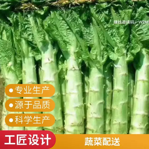增城东莞饭堂承包 公司食堂承包方案 有机蔬菜配送