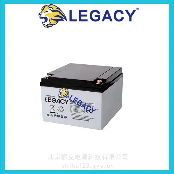 LEGACY ʨ������ LGD6/260 6V260AH ����ƽ̨ ϴ�ػ� ����ǣ�����