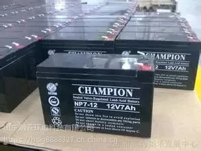 *** ����12V24AH������Ʒ������