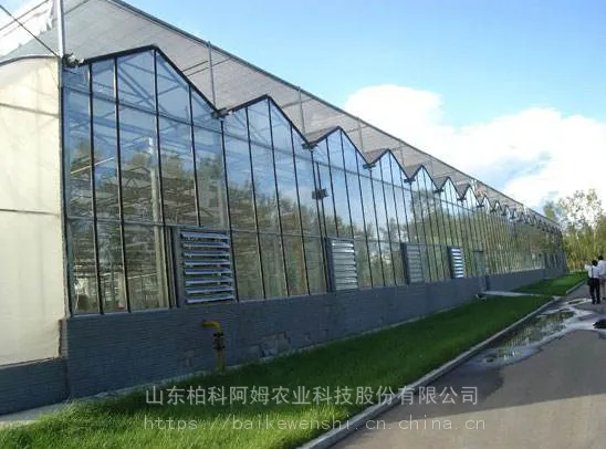 �������һ�������