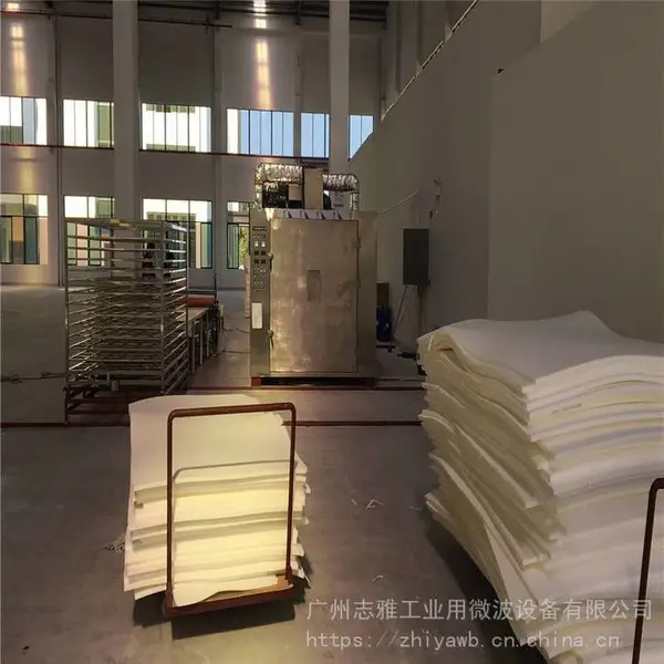 ZY-微波系列/微波乳胶床垫烘干机_乳胶枕头干燥设备_天然乳胶烘干设备