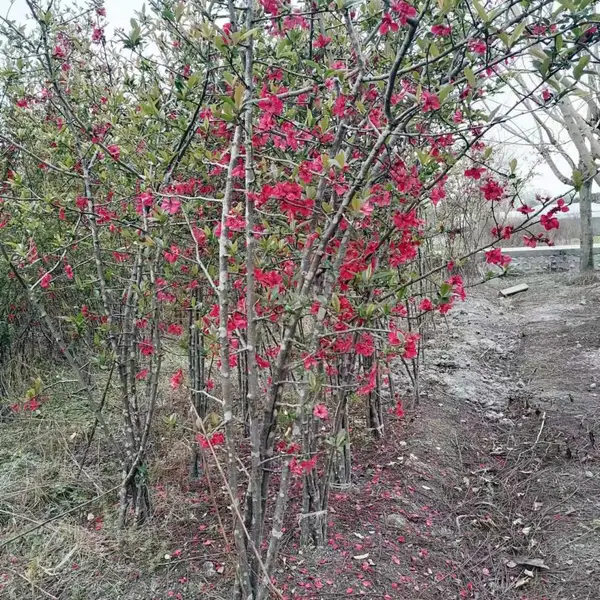 ���������������� 2�׸��������� 3�׸������������� ���ź���