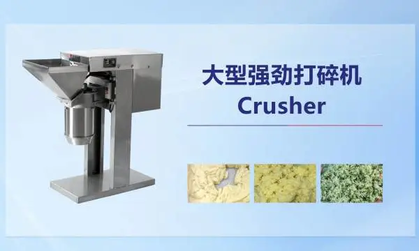 食材加工配送中心瓜果分瓣机怎么用 广州市天烨食品机械供应