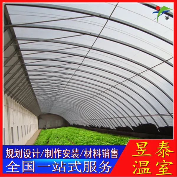 ��̩ �չ�����10�׿�ȱ���ů�� �߲���ֲ��Ĥ���� YTWSRG11034A
