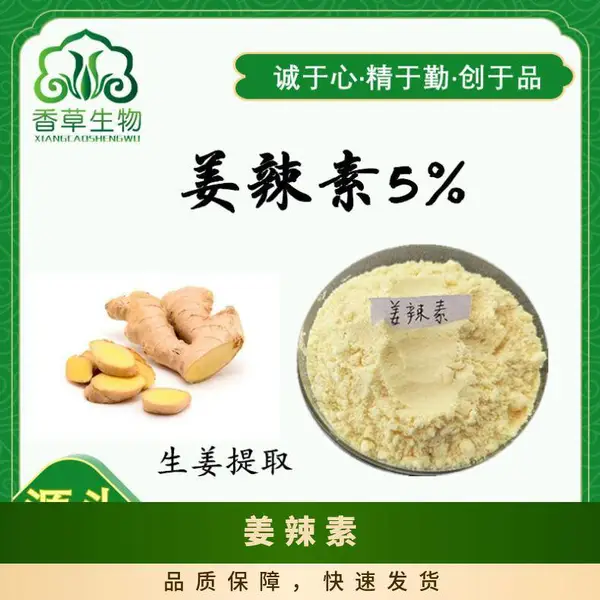 姜辣素5% 提取来源 生姜速溶粉 淡黄色粉末 姜汁粉 保质期2