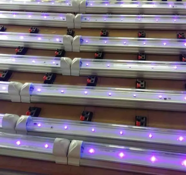 乐亿迪工厂定制深紫外UVLED杀菌灯管T5杀菌消毒灯管T8紫外线杀菌灯管