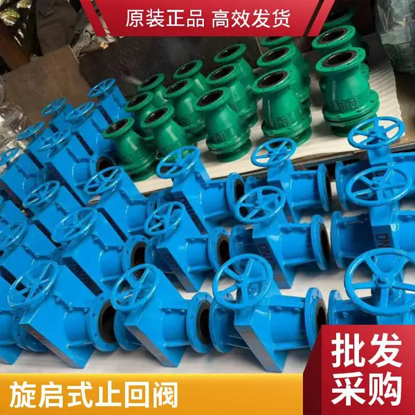 H44J-10C DN125 铸钢旋启式单向常温 软密封法兰衬胶止回阀