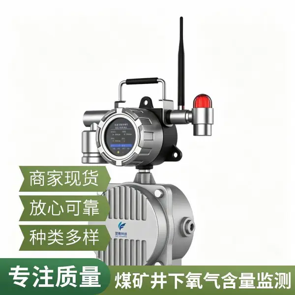 手提款氧气检测仪 便携式测氧仪 工业高精度氧气浓度报警器 防爆型