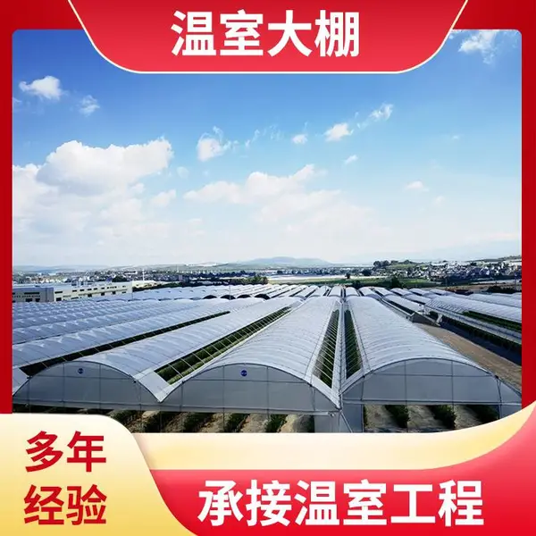 智能月季大棚 泉 州晋江花卉温室制造 无土栽培 中科 电动遮阳 ZKJJ-01