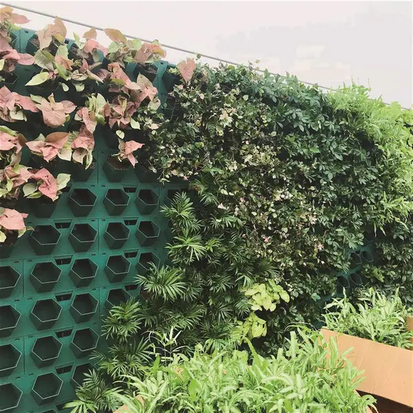 植物墙多少钱一平 植物墙 规格齐全