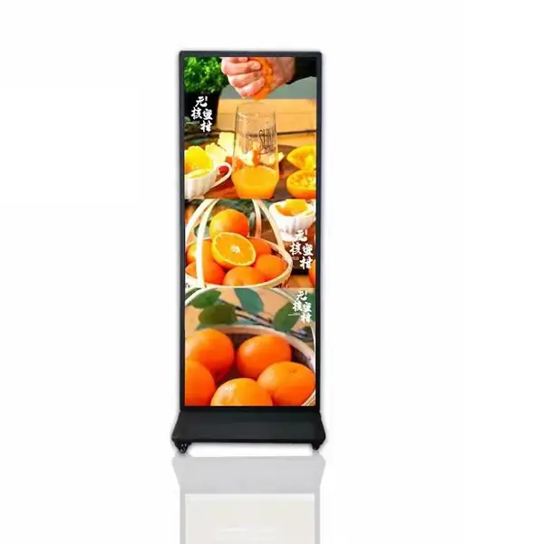 �ξ��� �����ʽȫ����������������ӭ��ˮ�Ƴ����ε��Ӻ�����