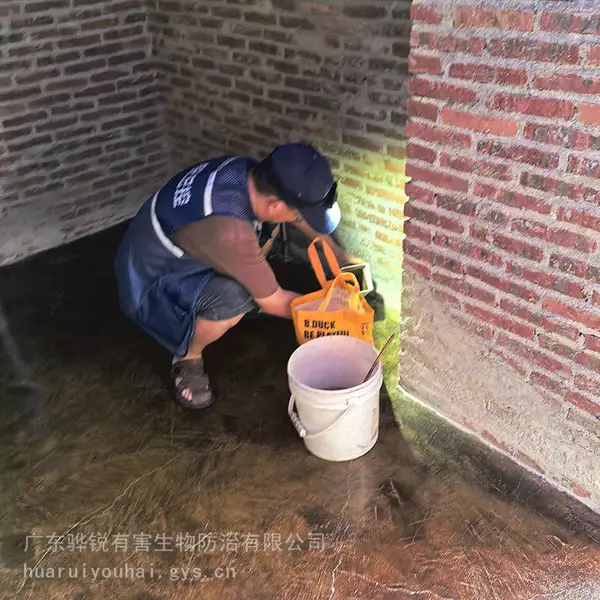 汕尾灭飞虫 汕尾除蟑螂本地公司 24小时预约 快速响应上门