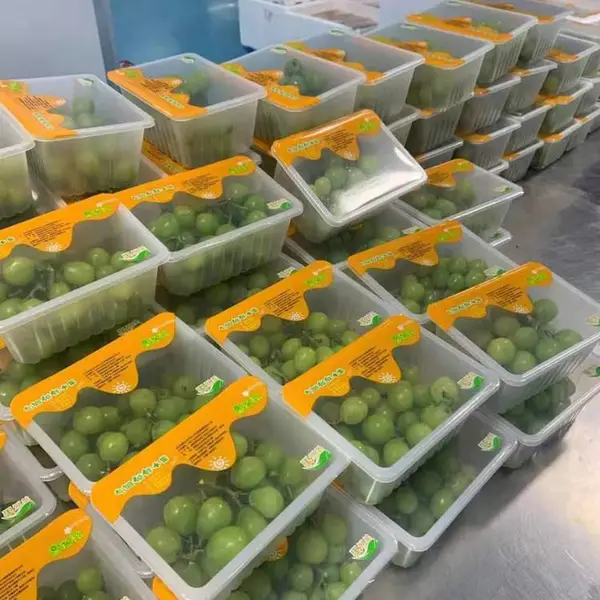 排骨米饭盒式包装机 盖浇饭封盒封碗包装机
