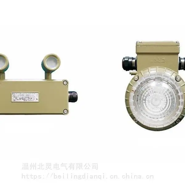 集中电源集中控制型消防应急照明灯具FC-ZFJC-E6W/FC-ZFJC-E9W